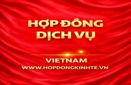 Luật sư hợp đồng - hợp đồng kinh tế khi nào cần luật sư