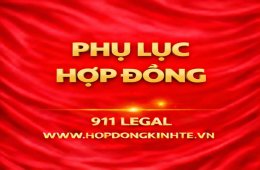 Phụ lục hợp đồng là gì? Giá trị pháp lý và lưu ý quan trọng