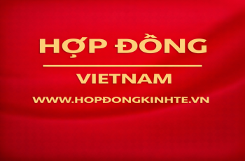 V7 rủi ro chết người khi “nhượng quyền thương hiệu” mà không có luật sư hợp đồng