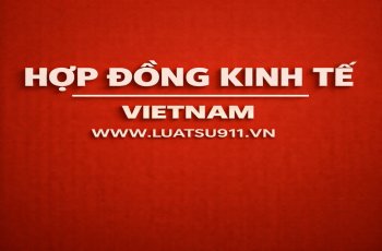 Hợp đồng phân phối: Vì sao doanh nghiệp giao hàng đều nhưng vẫn mất thị trường?